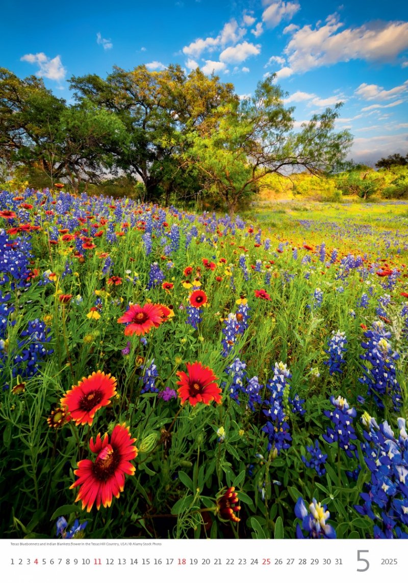 Kalendarz ścienny wieloplanszowy Nature Emotions 2025 - maj 2025