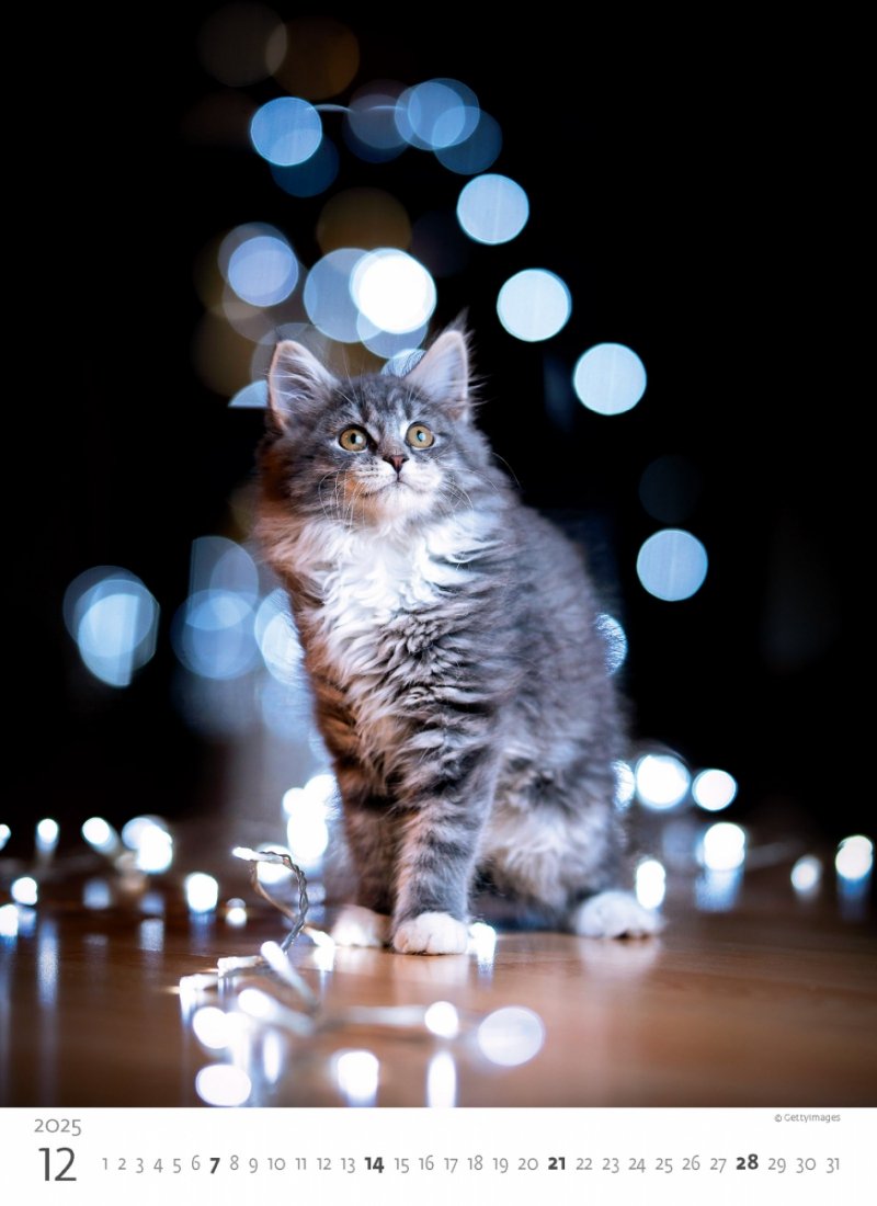 Kalendarz ścienny wieloplanszowy Kittens 2025 - grudzień 2025