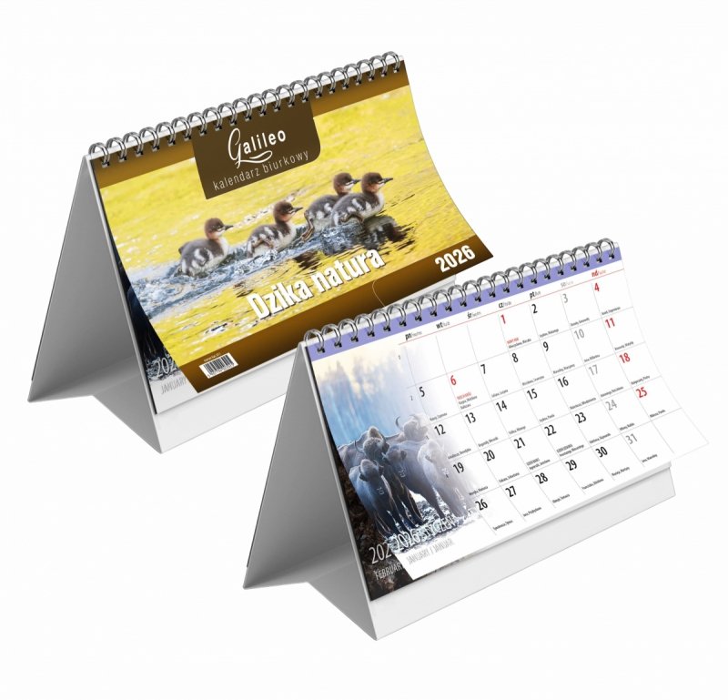 kalendarz na biurko na podstawce kartonowej