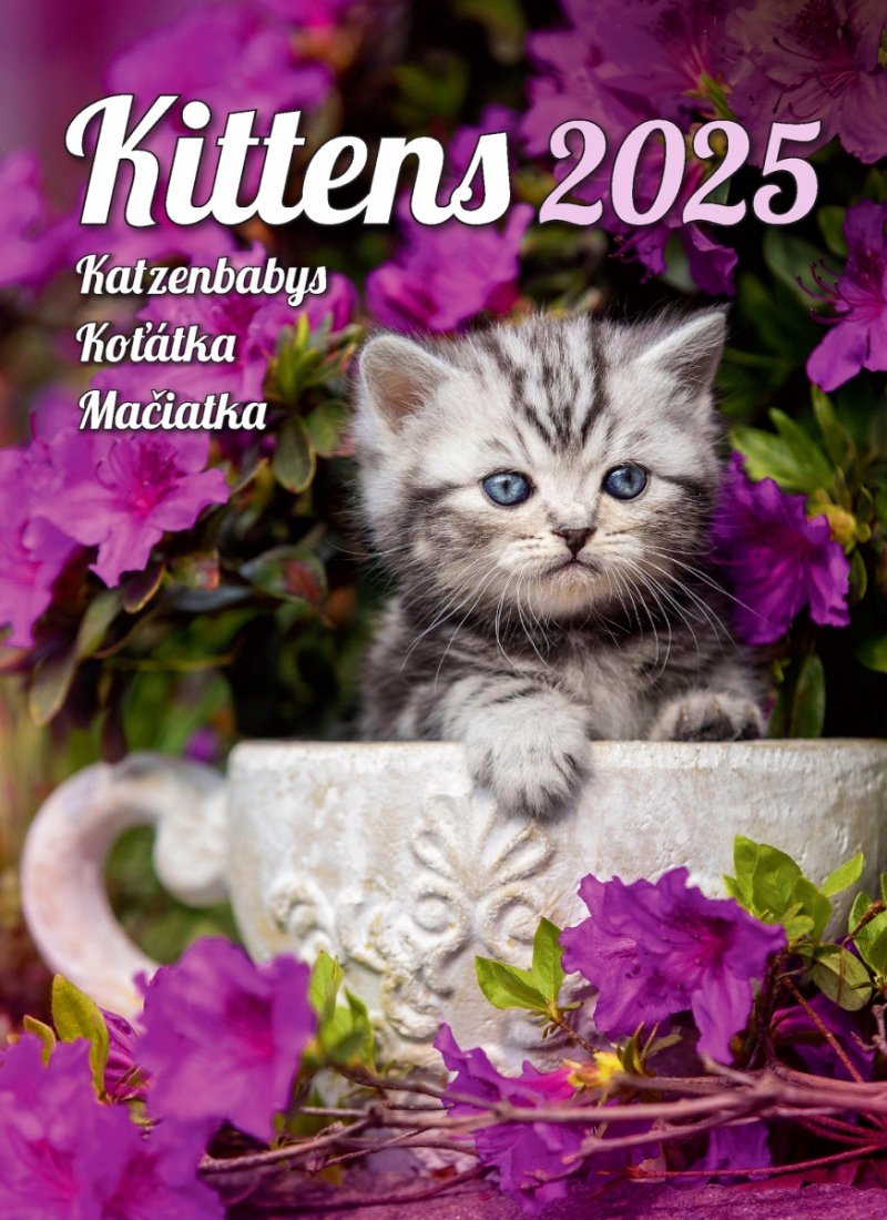 Zdjęcie okładki w kalendarzu ściennym Kittens 2025 wydawnictwa Helma