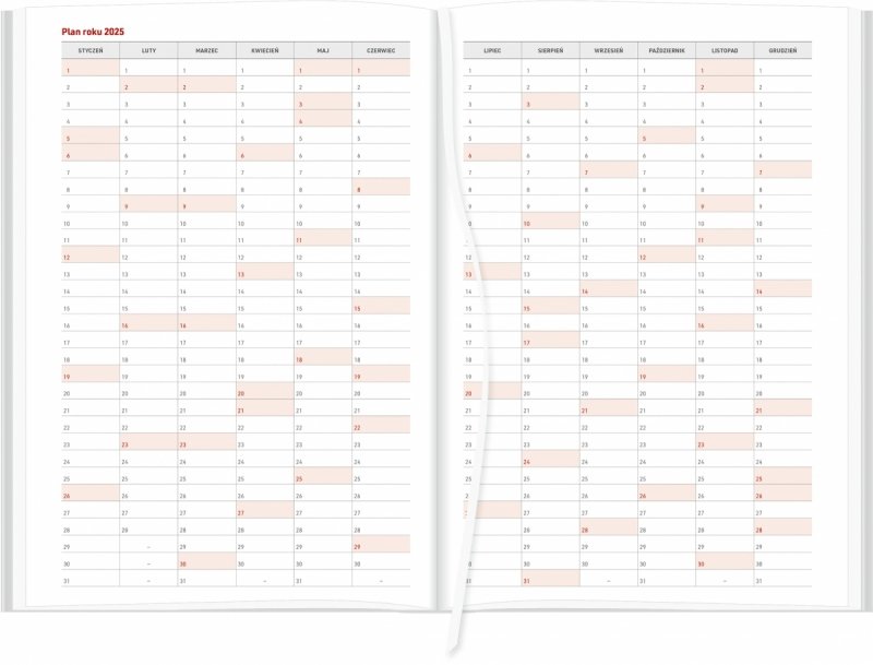 plan roku 2025 w kalendarzu książkowym