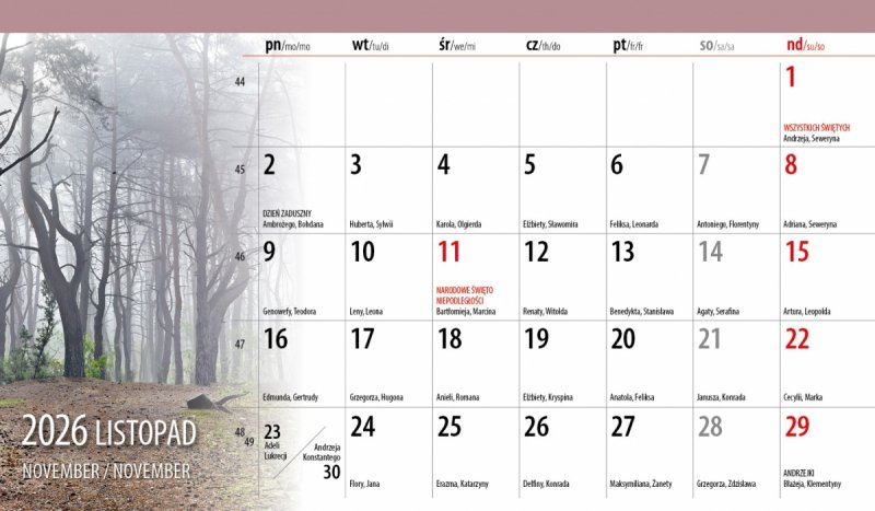 biurowy kalendarz 2026 cały miesiąc na stronie