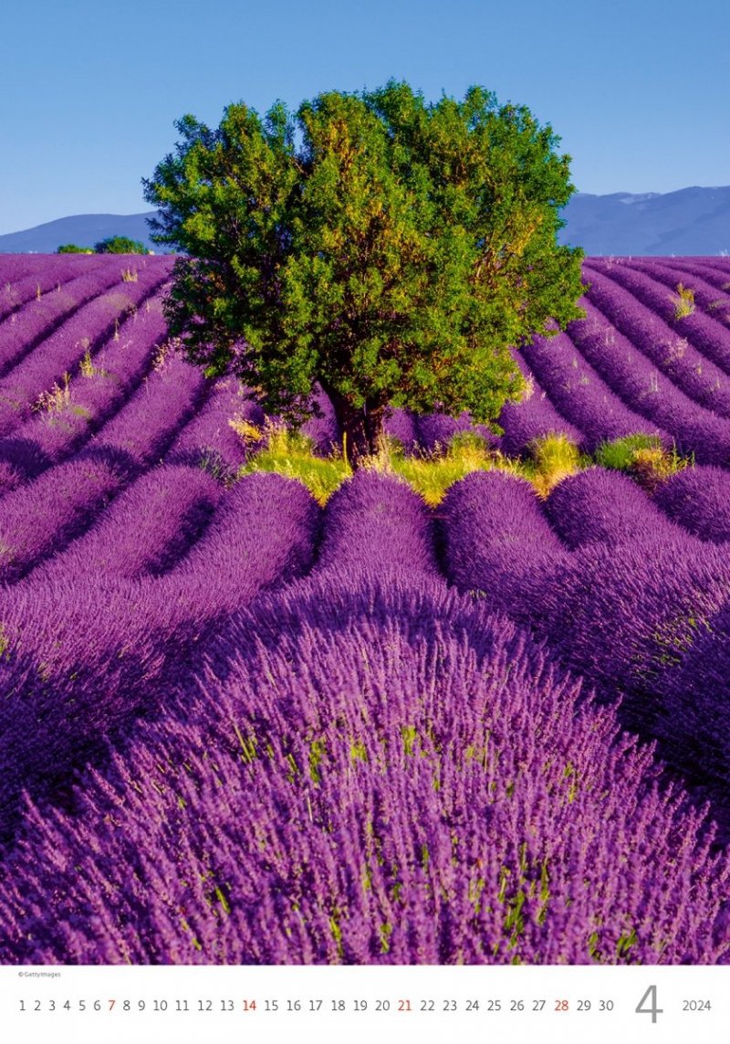 Kalendarz ścienny wieloplanszowy Provence 2024 - kwiecień 2024