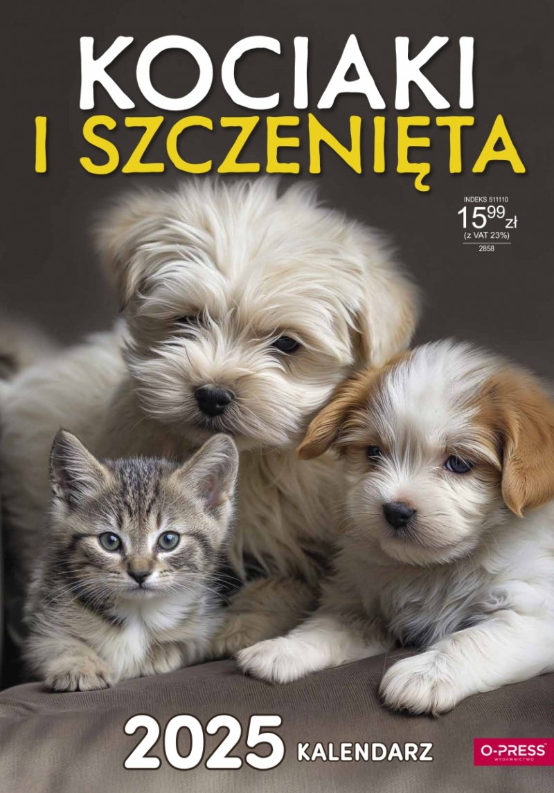 Kalendarz ścienny wieloplanszowy PRZYJACIELE 2025 - okładka