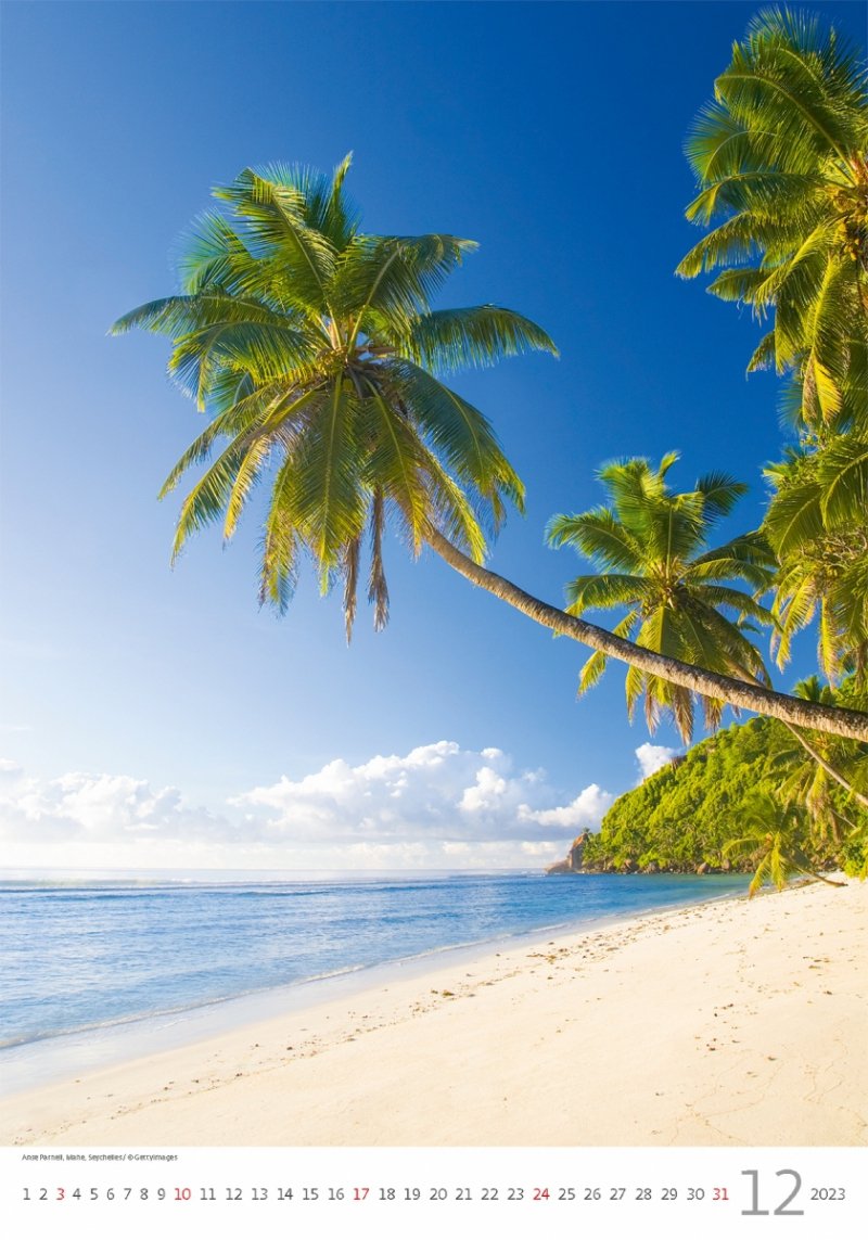 Kalendarz ścienny wieloplanszowy Tropical Beaches 2023 - grudzień 2023