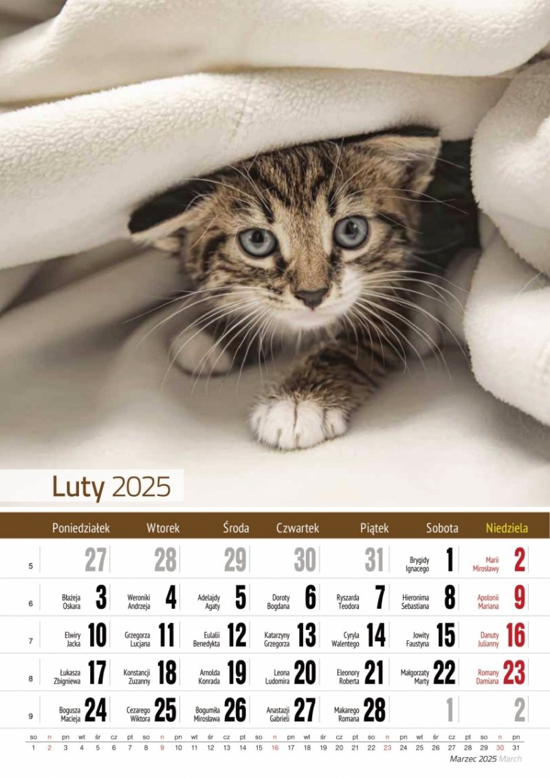 Kalendarz ścienny wieloplanszowy A4 KOTY 2025 - luty 2025