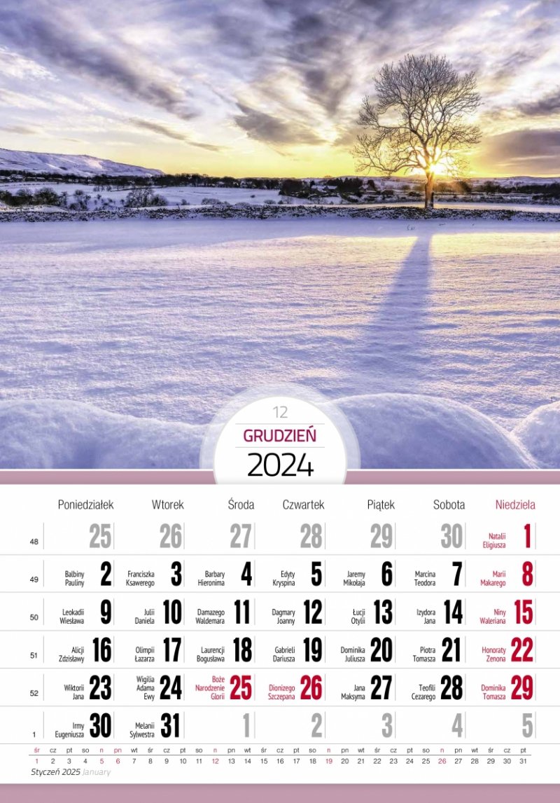 Kalendarz ścienny wieloplanszowy  PEJZAŻE 2025 - grudzień 2024