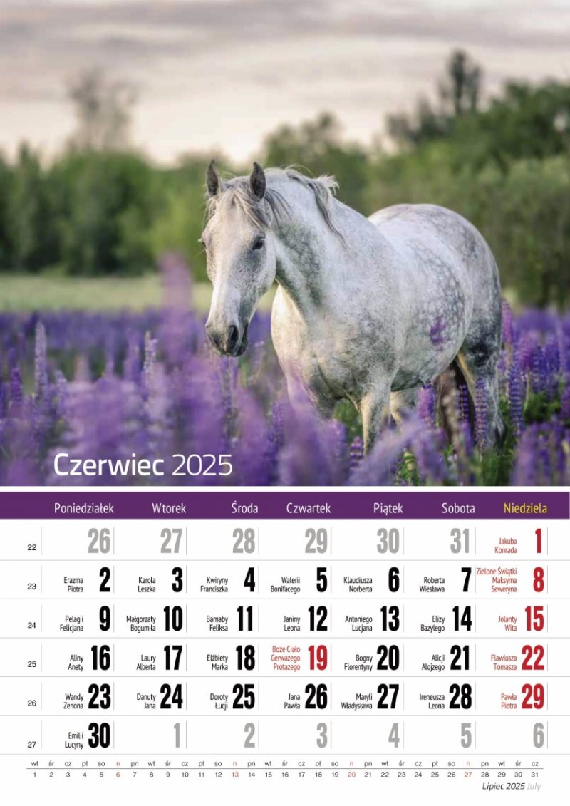 Kalendarz ścienny wieloplanszowy A4 KONIE 2025 - czerwiec 2025