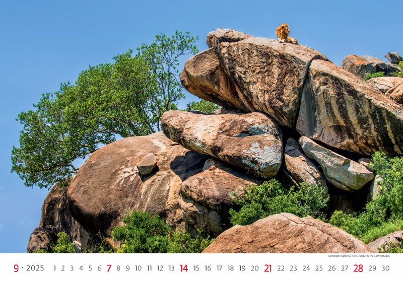 Kalendarz ścienny wieloplanszowy National Parks 2025 - wrzesień 2025