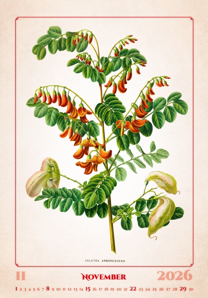 N144 Kalendarz ścienny wieloplanszowy Herbarium 2026