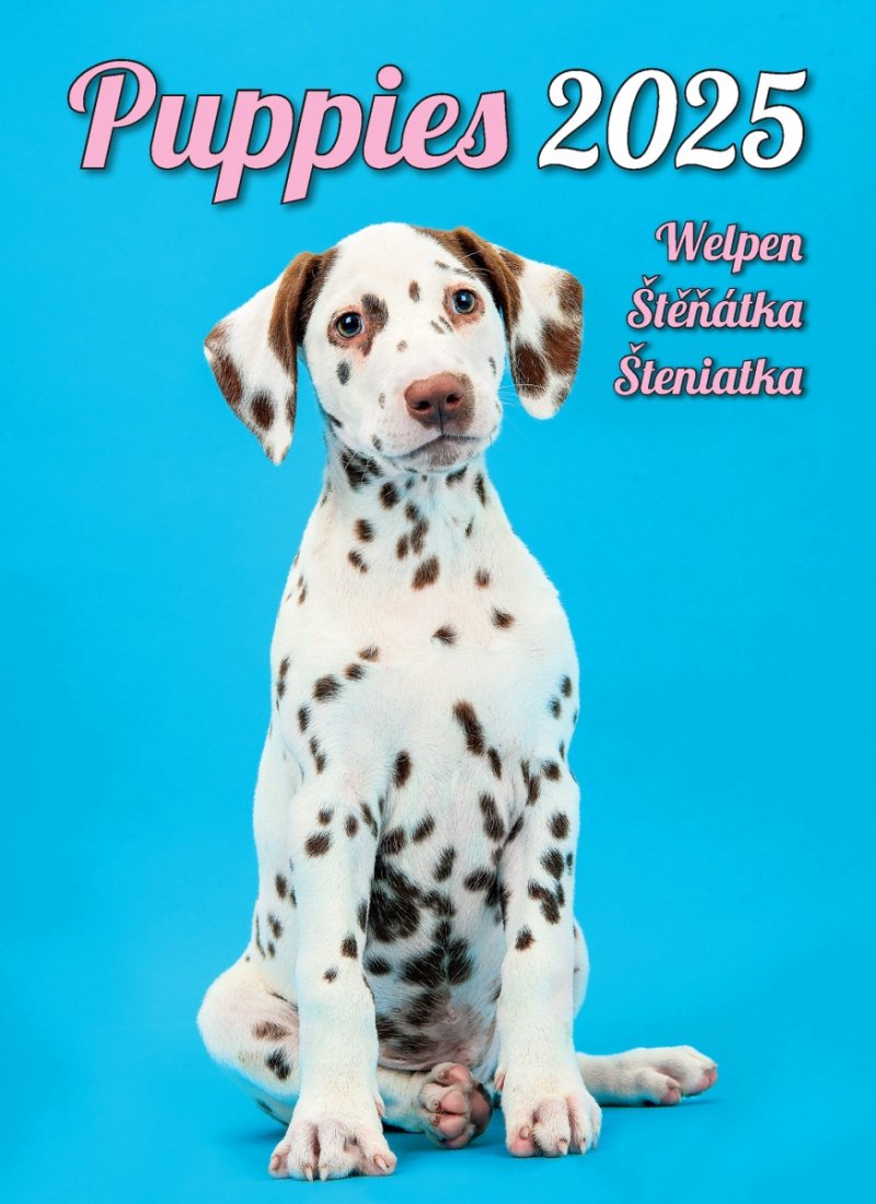 Zdjęcie okładki w kalendarzu ściennym Puppies 2025 wydawnictwa Helma
