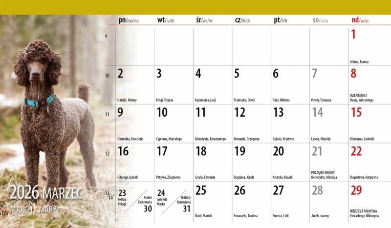 kalendarz do postawienia na biurko na rok 2026