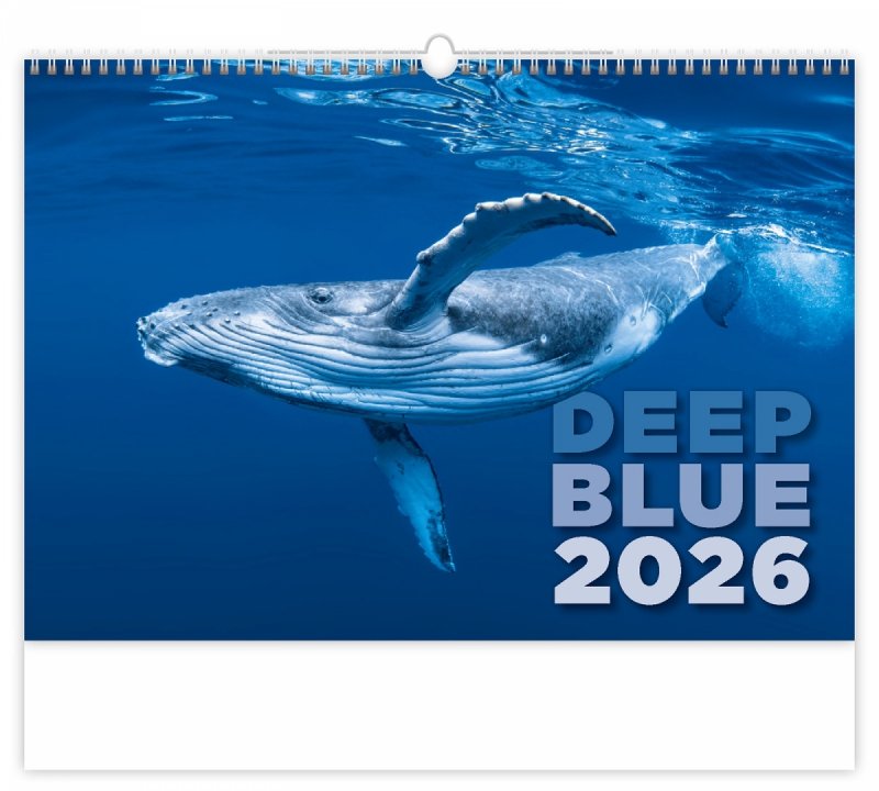 H11 Kalendarz ścienny wieloplanszowy Deep Blue 2026