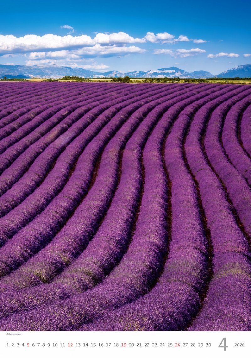 N142 Kalendarz ścienny wieloplanszowy Provence 2026