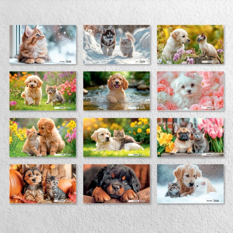 Kalendarz ścienny wieloplanszowy 33x33 cm PRZYJACIELE 2026