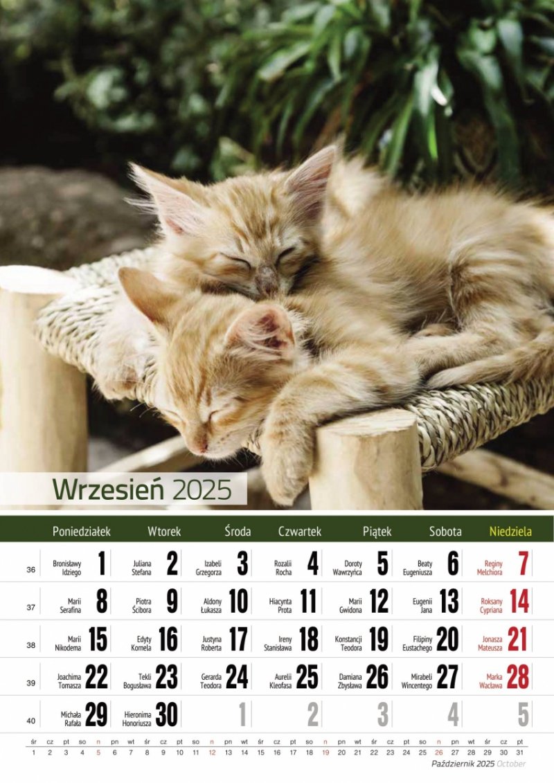 Kalendarz ścienny wieloplanszowy A4 KOTY 2025 - wrzesień 2025