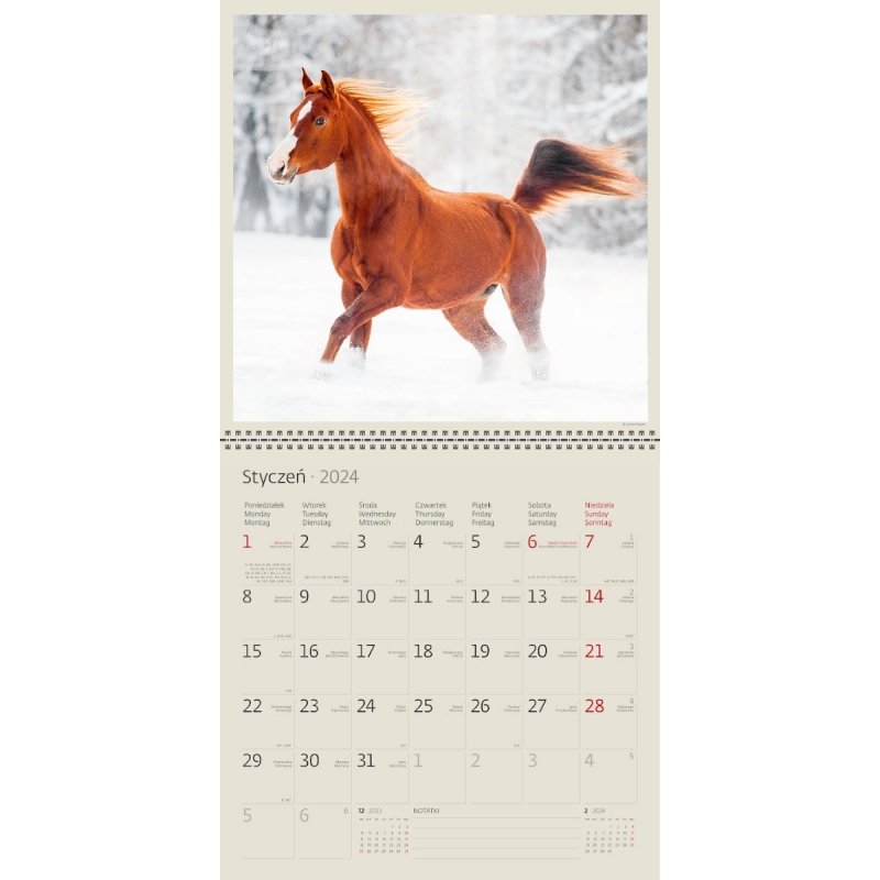 Kalendarz ścienny wieloplanszowy Konie 2024 Z NAKLEJKAMI - przykładowa kartka z kalendarza