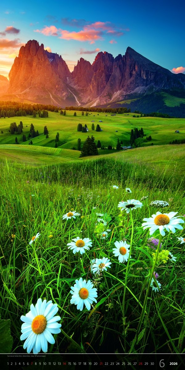 kalendarz ścienny 14-planszowy na rok 2026 