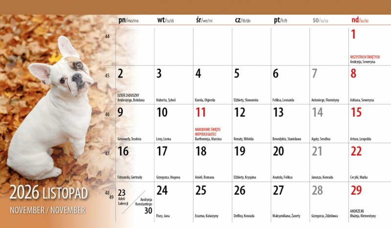 biurowy kalendarz 2026 cały miesiąc na stronie