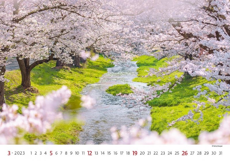 Kalendarz ścienny wieloplanszowy Gardens 2023 - marzec 2023