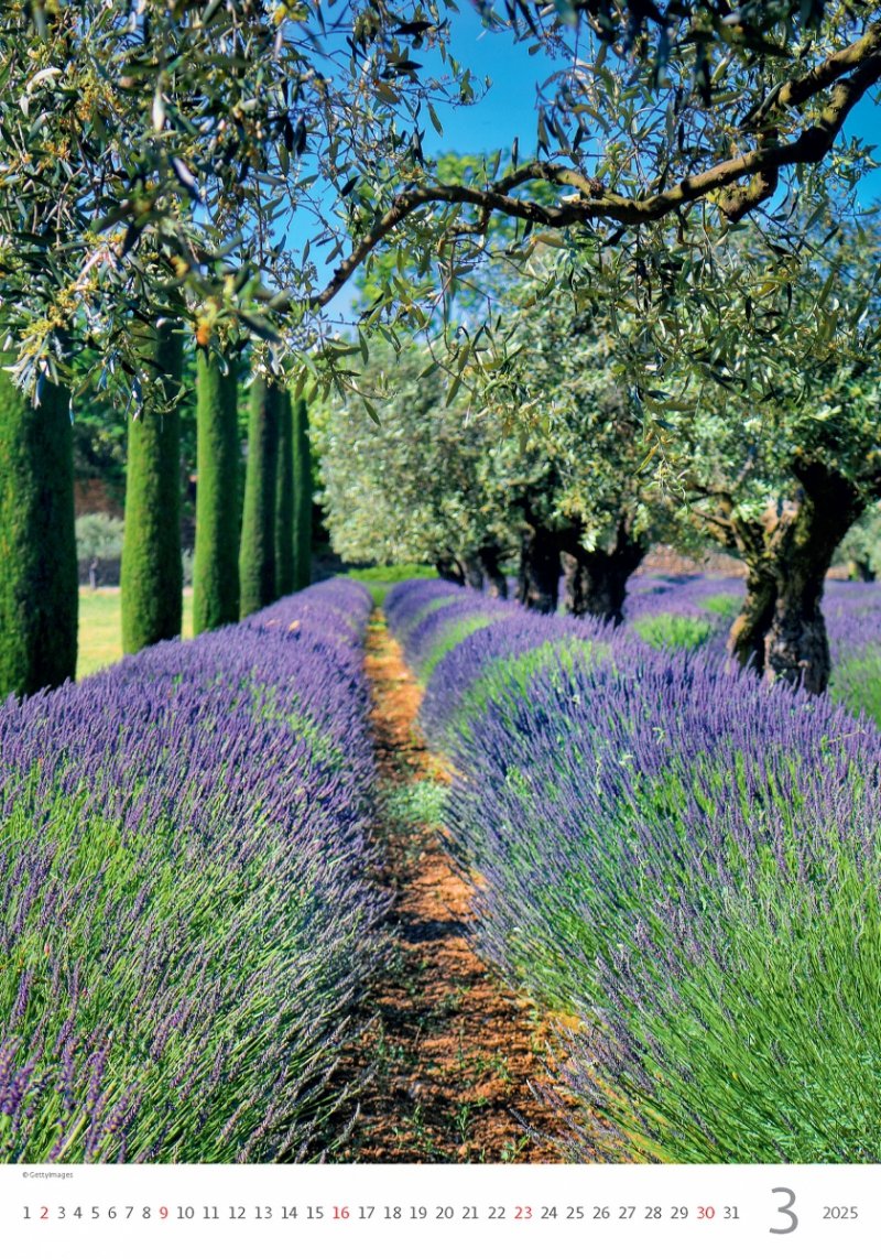 Kalendarz ścienny wieloplanszowy Provence 2025 - marzec 2025