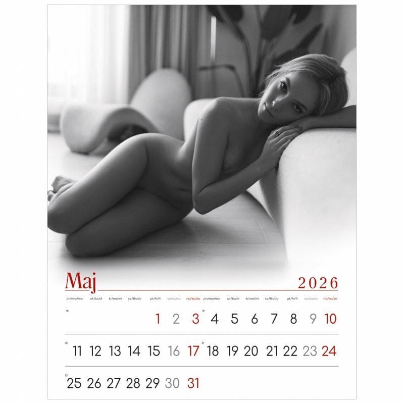 C15 Kalendarz ścienny wieloplanszowy Passion 2026