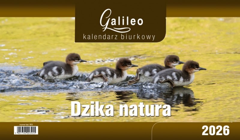 okładka kalendarza biurowego