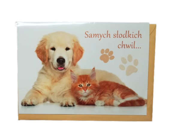 KARTKA-okolicznościowa-rudy-kot-i-pies