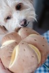 Pups & Bubs CHEESY BREAD Serowa bułeczka zabawka węchowa 