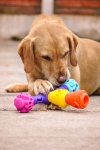 K9 Connectables PUZZLE PACK GENTLE Mini