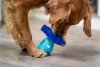 K9 Connectables BRAIN TEASER PRO Medium