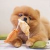 Pups & Bubs RAVIOLI zabawka węchowa 