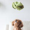 Pups & Bubs SNUFFLE CABBAGE Kapusta zabawka węchowa 