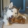 Gryzak dla psa Benebone Dental Chew L Bekon