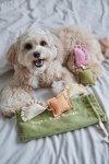 Pups & Bubs RAVIOLI zabawka węchowa 