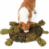 DOGLEMI Mata węchowa W ŻÓŁWIM TEMPIE
