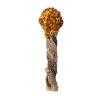 Cooka’s Cookies LOLLIPOP Lizak - gryzak z dorsza i indyka 30g