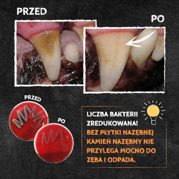 QCHEFS CAT Dental Flakes do higieny jamy ustnej dla KOTA