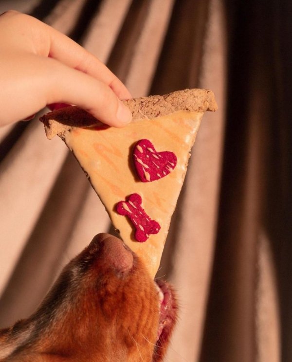 Cooka's Cookies LOVE AT FIRST SLICE Przysmaki dla psa z indyka 65g