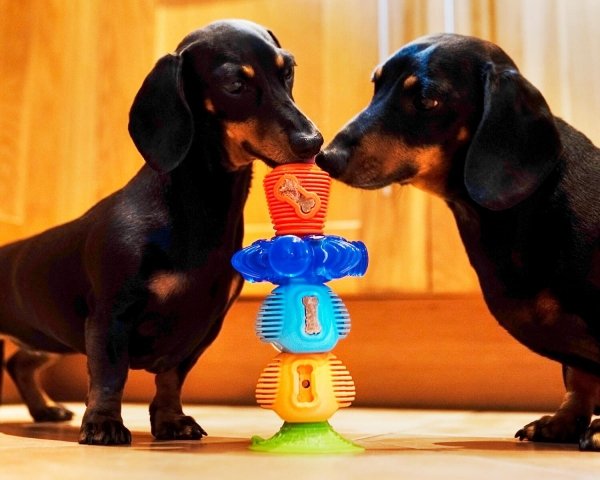 K9 Connectables BRAIN TEASER PRO Medium