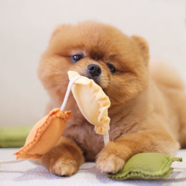 Pups &amp; Bubs RAVIOLI zabawka węchowa 