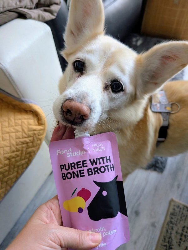 Food Studio Chefs PUREE dla psów z bulionem kostnym z KURCZAKA z marchewką, jabłkiem, dynią i kurkumą 150ml