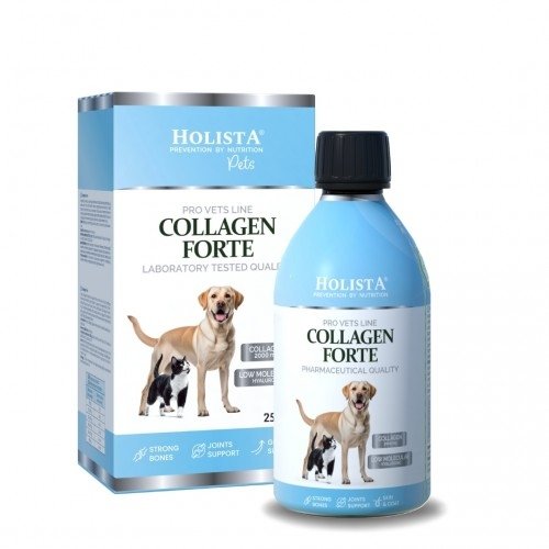 Holista Collagen Forte 250ml