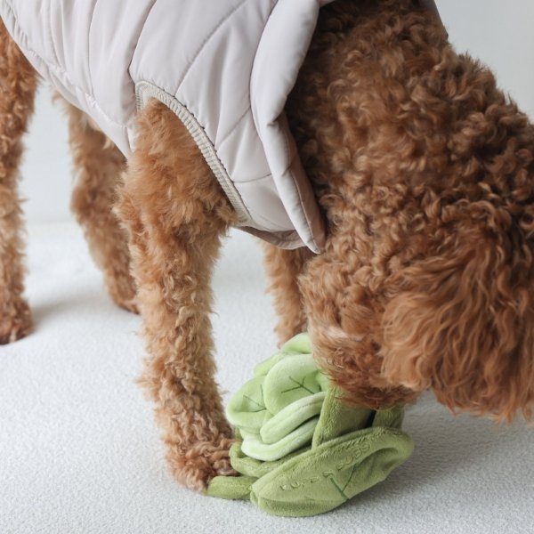Pups &amp; Bubs SNUFFLE CABBAGE Kapusta zabawka węchowa 
