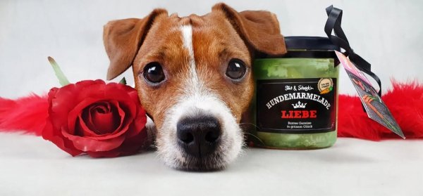 Stevi &amp; Schnück‘s Hundemarmelade Liebe DŻEM DOBRY MIŁOŚĆ 275g