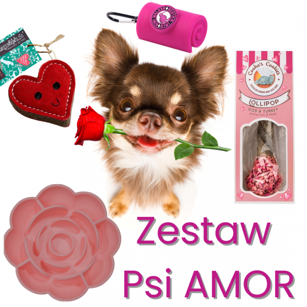 Zestaw Psi AMOR - gotowy prezent dla psa