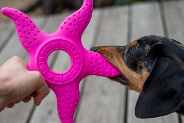 Kiwi Walker 2w1 OCTOPUS &amp; STARFISH niebieski