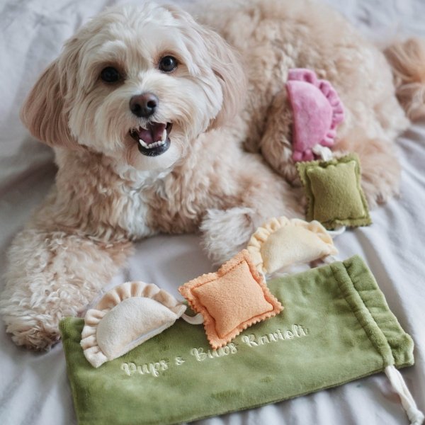 Pups &amp; Bubs RAVIOLI zabawka węchowa 