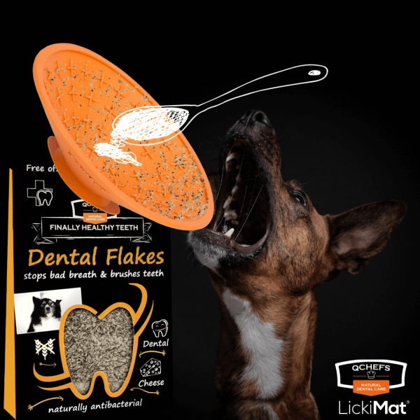 QCHEFS Dental Flakes + LickiMat® Splash™