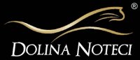 Dolina Noteci